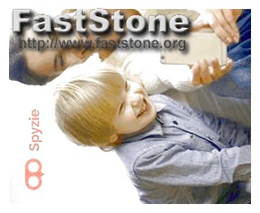 Mspy vs Spyzie for Iphone